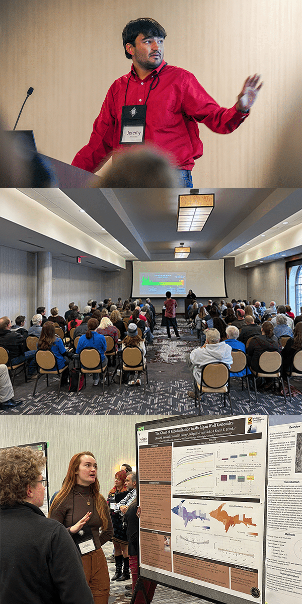 Presenter, Poster, Workshops