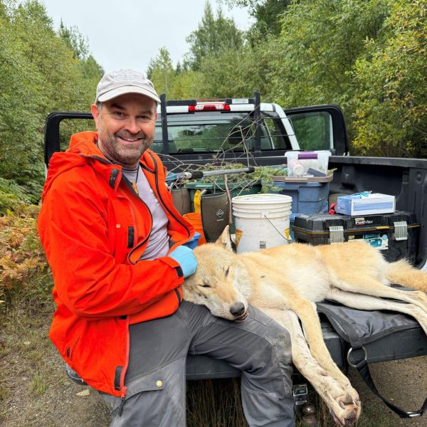 Invited Speaker: Dr. Brent Patterson